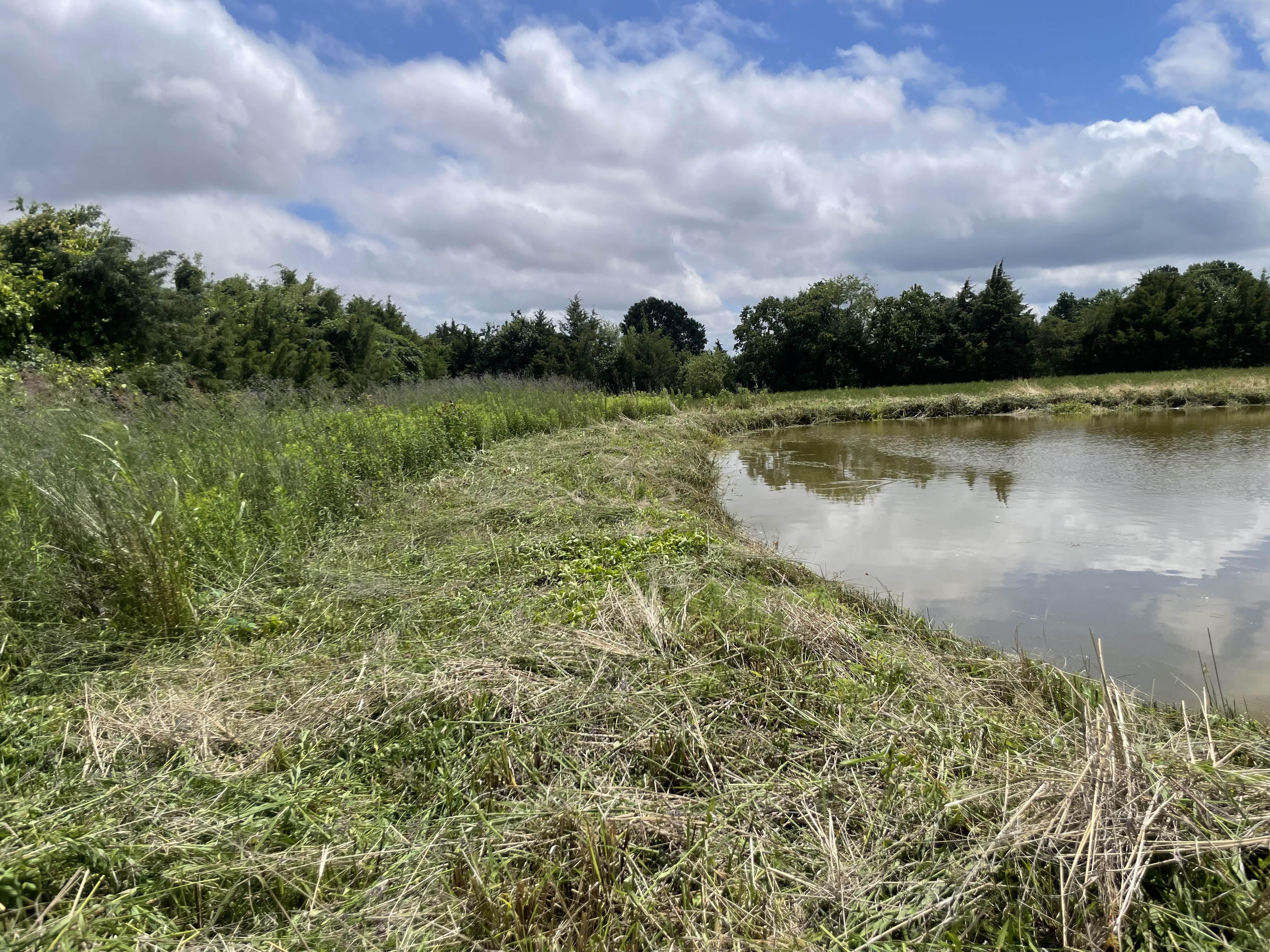 Professional landscape maintenance services