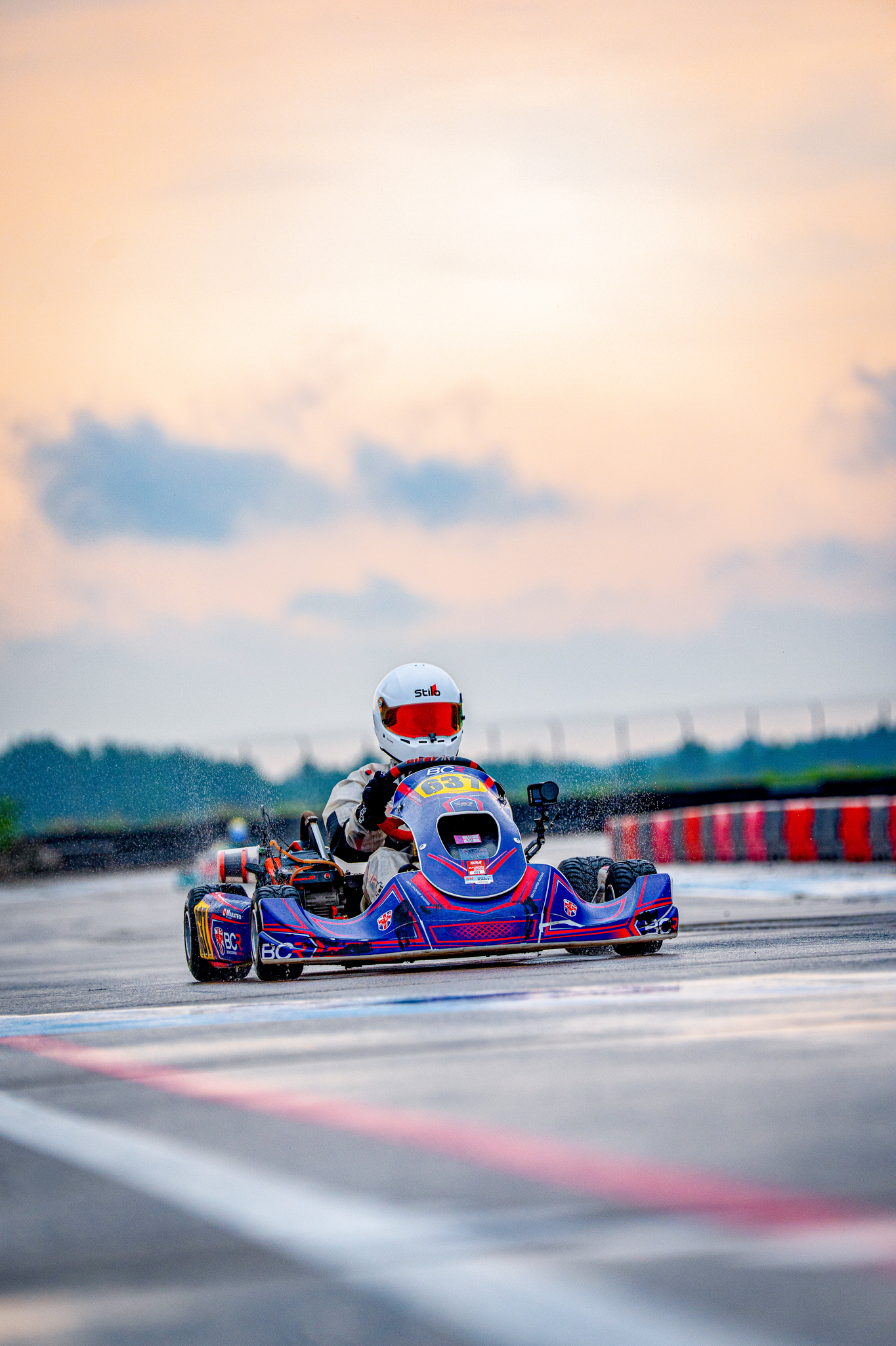 Qualité professionnelle