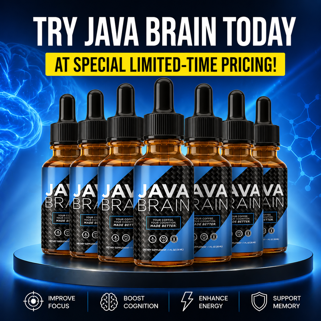 Java Brain