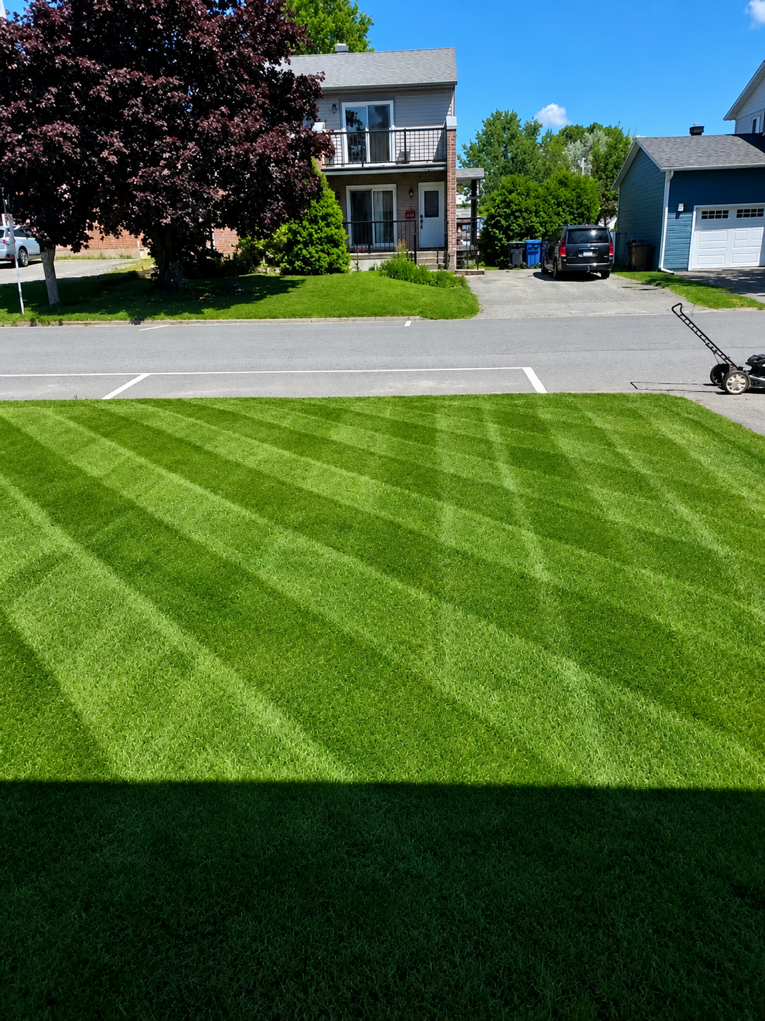 landscaping service garden maintenance