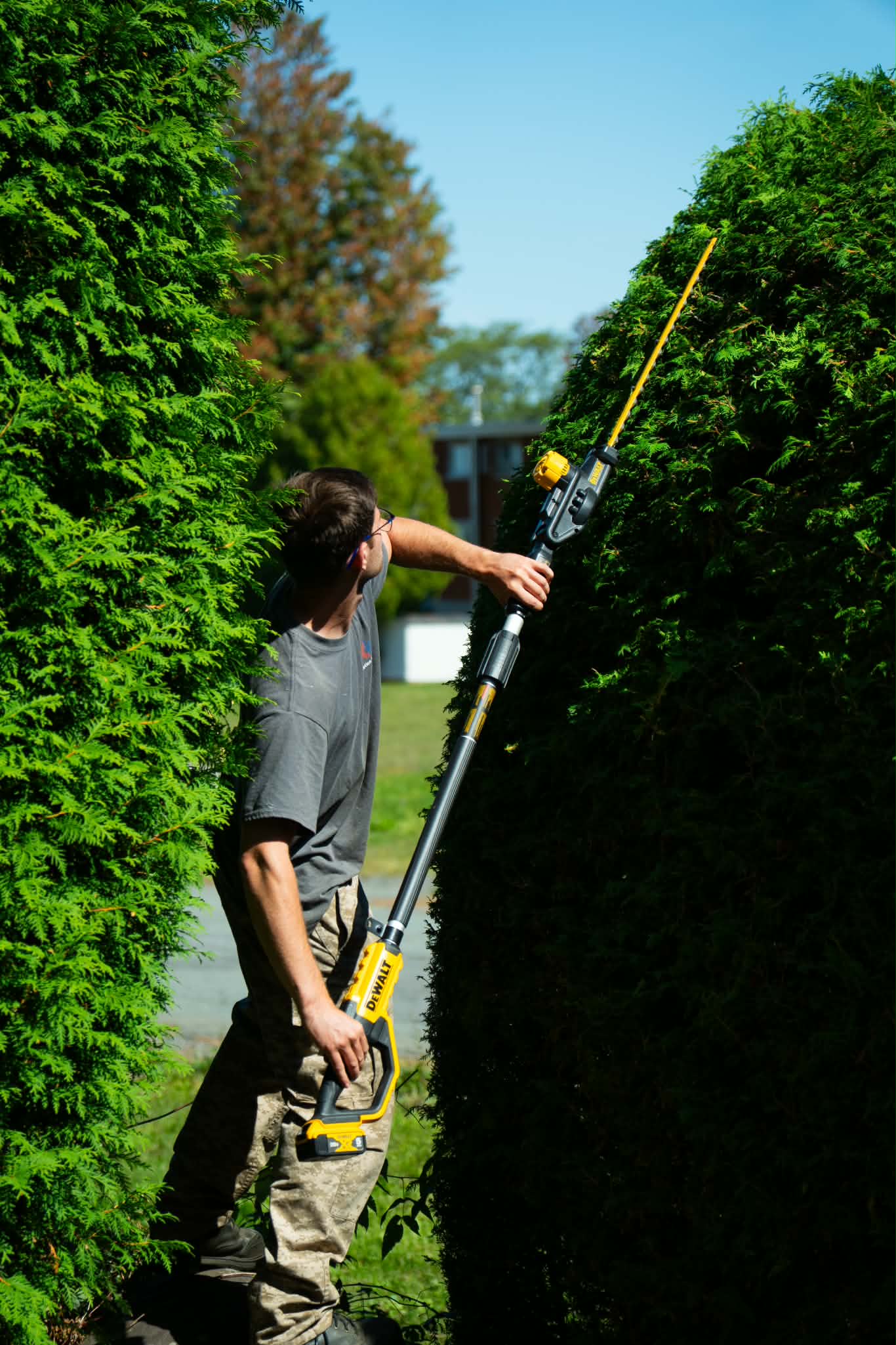 landscaping service garden maintenance